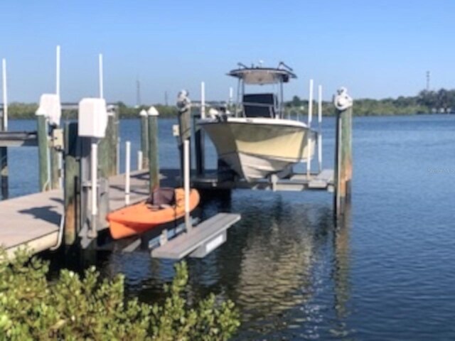 362 Coquina Dr, Tarpon Springs, FL 34689 - photo 43