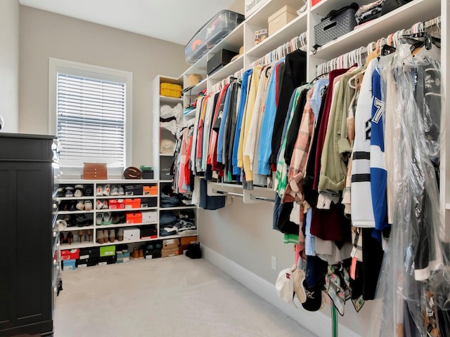 150 Chippewa Ave, Tampa, FL 33606 - walk in closet featuring carpet floors