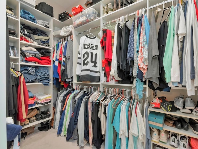 150 Chippewa Ave, Tampa, FL 33606 - view of spacious closet