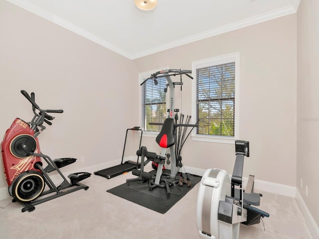 150 Chippewa Ave, Tampa, FL 33606 - exercise area with baseboards, crown molding, and carpet flooring