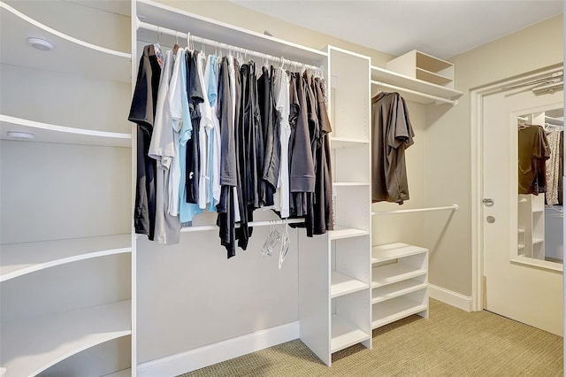 spacious closet featuring carpet