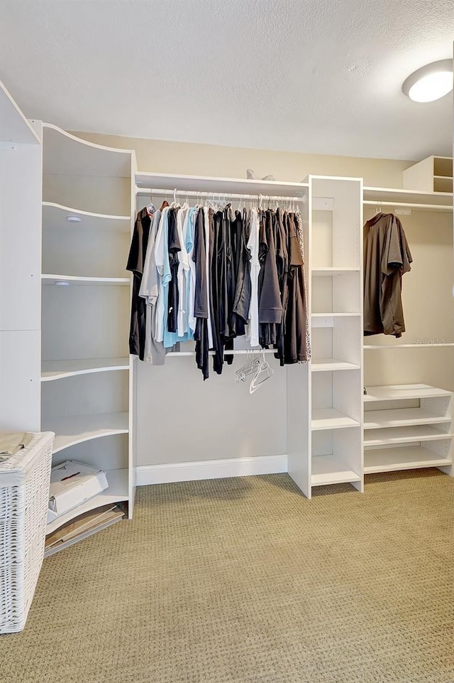 walk in closet featuring carpet