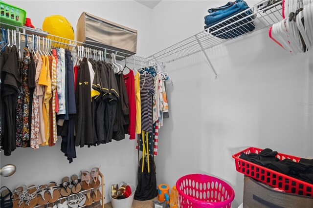 view of spacious closet