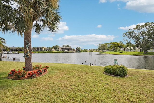 6357 Spanish Main Dr, Apollo Beach, FL 33572 - photo 40