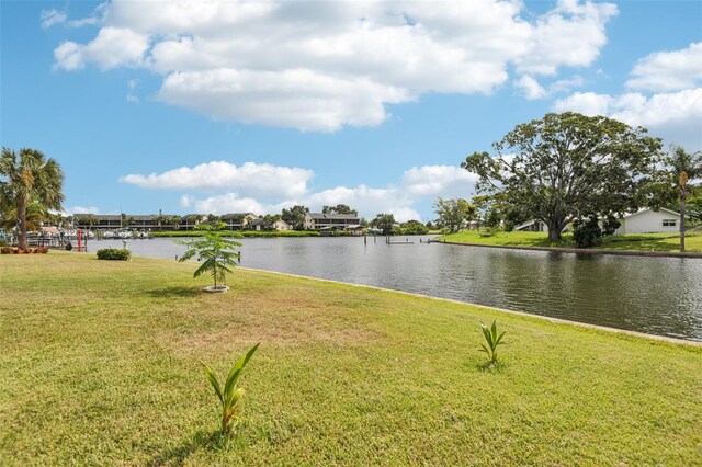 6357 Spanish Main Dr, Apollo Beach, FL 33572 - photo 44