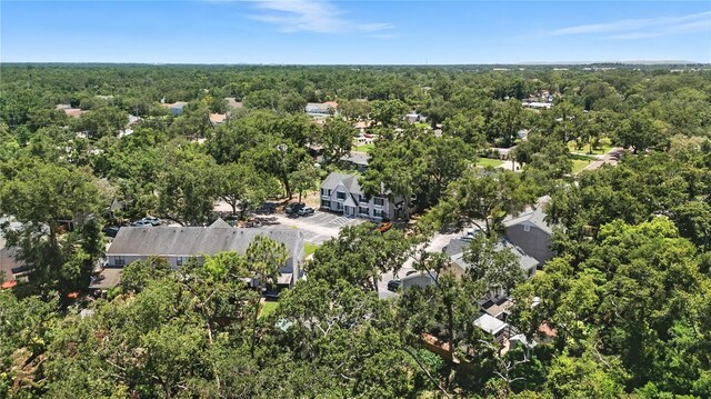 3321 Laurel View Dr, Brandon, FL 33511 - photo 26