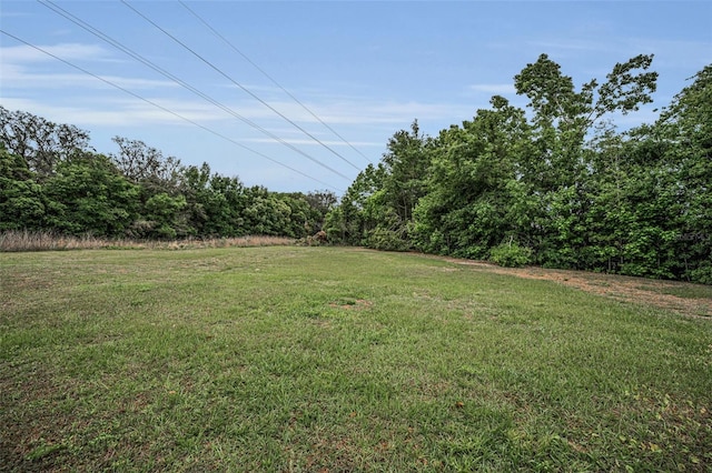 7944 Royal Hart Dr, New Port Richey, FL 34653 - view of yard