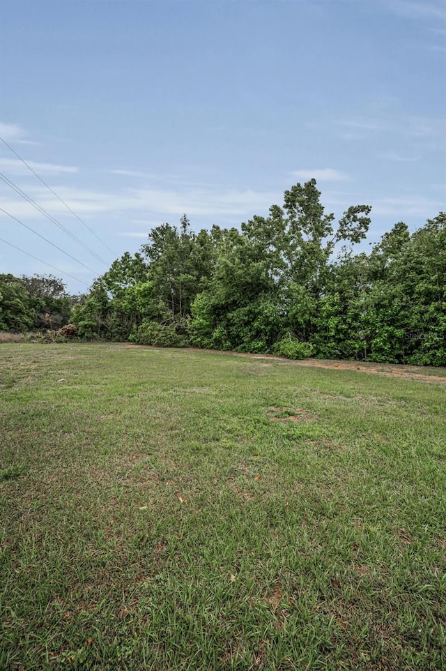 7944 Royal Hart Dr, New Port Richey, FL 34653 - view of yard