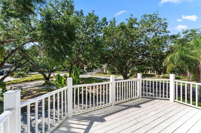 15702 Richboro Ct, Tampa, FL 33647 - photo 53