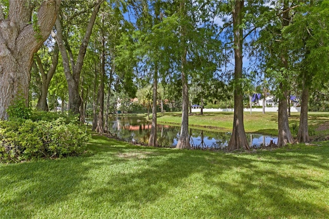 water view