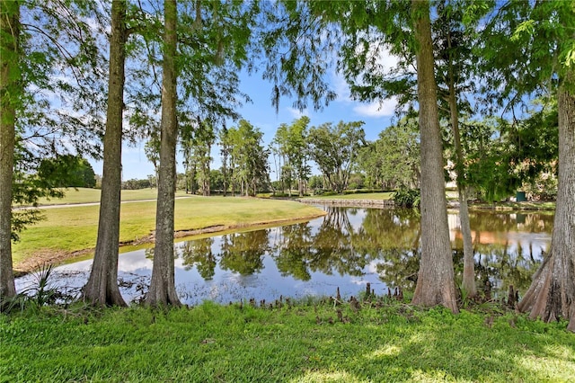 view of water feature