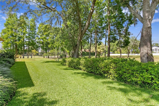 view of yard