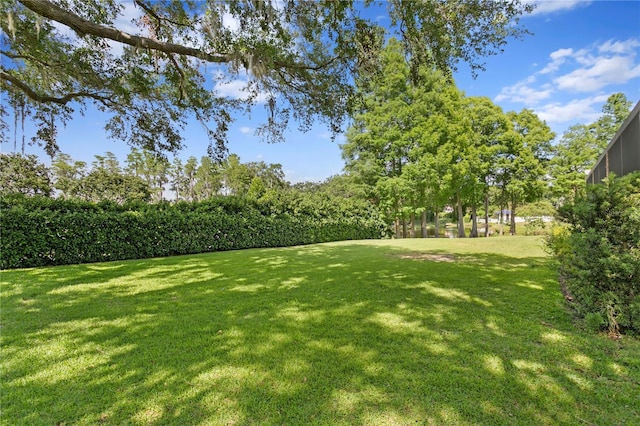 view of yard