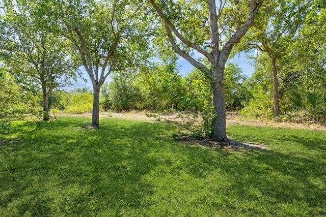 14319 Morristown Ave, Port Charlotte, FL 33981 - view of grassy yard