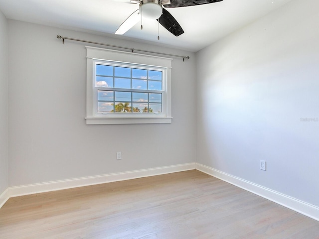 8722 Hickorywood Ln, Tampa, FL 33615 - photo 22