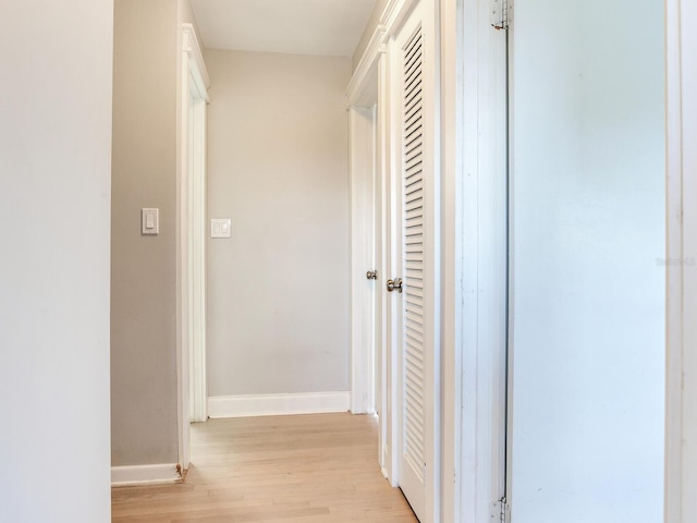 8722 Hickorywood Ln, Tampa, FL 33615 - photo 12