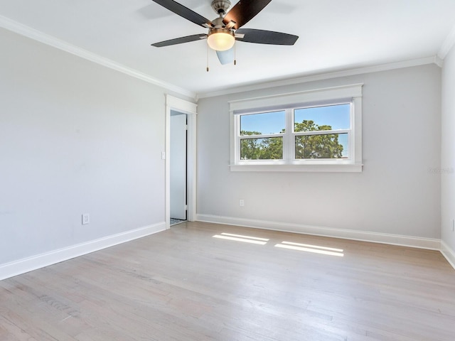 8722 Hickorywood Ln, Tampa, FL 33615 - photo 14