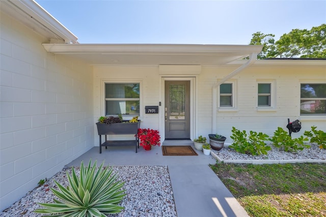 7491 Cedar St NE, Saint Petersburg, FL 33702 - photo 1