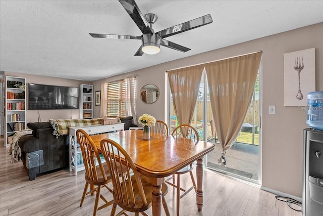 3748 Redwood Dr, Holiday, FL 34691 - photo 20