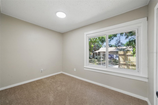 8215 N 12th St, Tampa, FL 33604 - photo 10