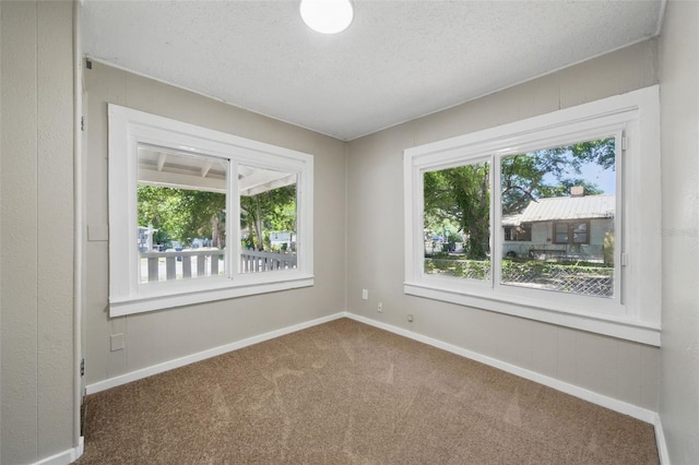 8215 N 12th St, Tampa, FL 33604 - photo 15