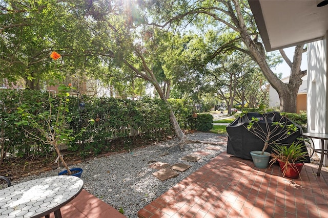 2314 S Clewis Ct Unit 106, Tampa, FL 33629 - view of patio