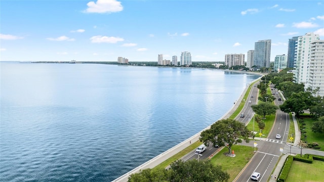 2314 S Clewis Ct Unit 106, Tampa, FL 33629 - water view featuring a skyline view
