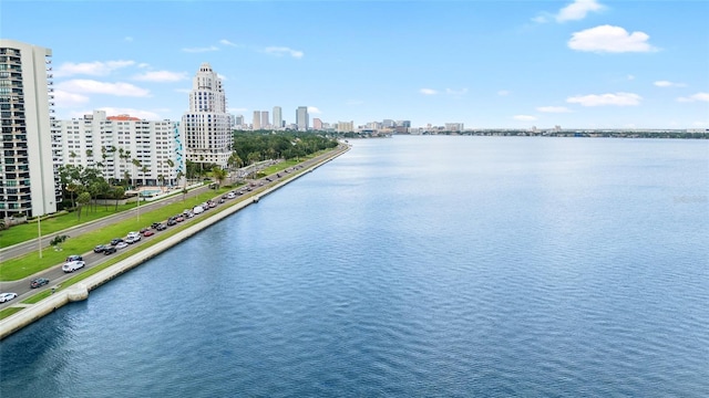 2314 S Clewis Ct Unit 106, Tampa, FL 33629 - water view featuring a skyline view