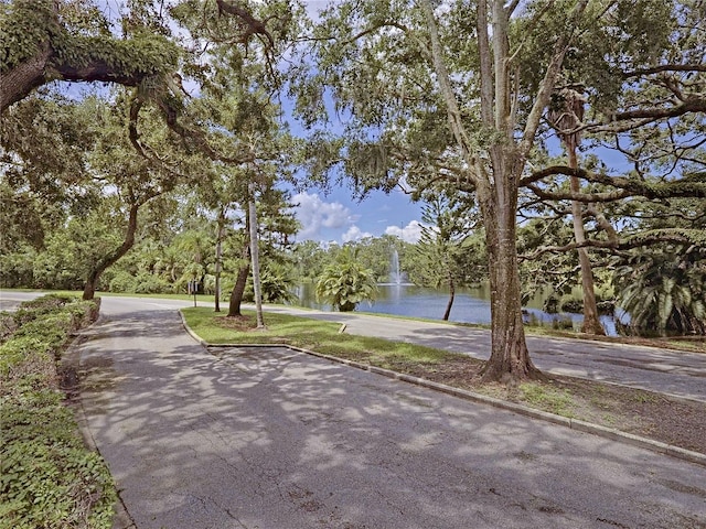 2725 14th Ct, Palm Harbor, FL 34684 - photo 32