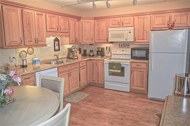 2725 14th Ct, Palm Harbor, FL 34684 - photo 10