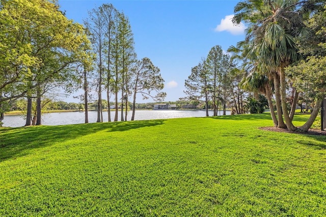 4121 Highland Park Cir, Lutz, FL 33558 - photo 51
