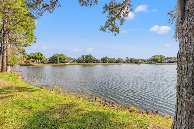 4121 Highland Park Cir, Lutz, FL 33558 - photo 53