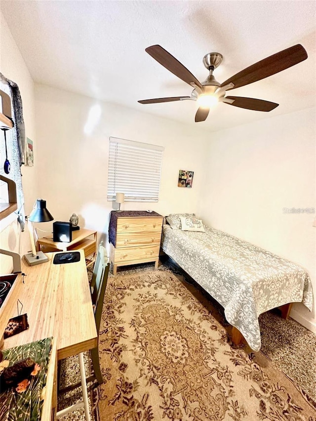 4501 26th Ave S, Saint Petersburg, FL 33711 - photo 6