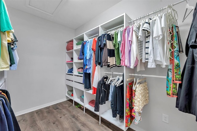 walk in closet with wood finished floors and attic access