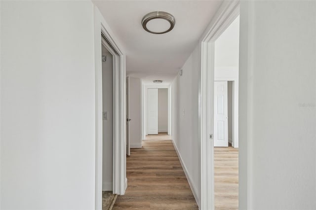 15621 Bertram Dr, Hudson, FL 34667 - hallway with wood finished floors and baseboards