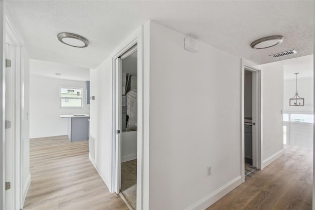 15621 Bertram Dr, Hudson, FL 34667 - corridor with light wood finished floors and baseboards