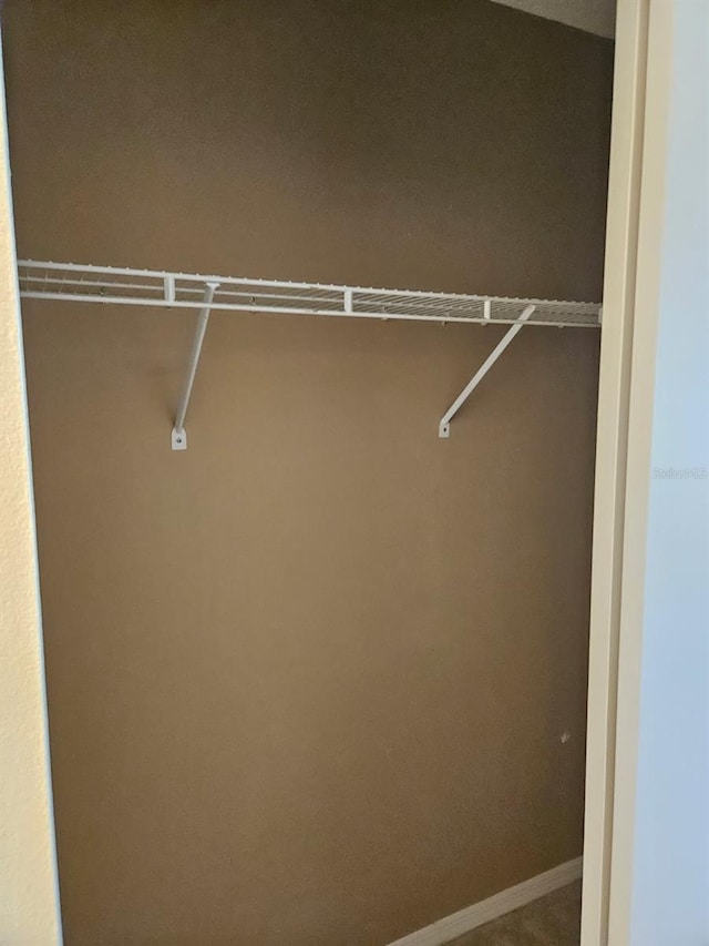607 Manchester Woods Dr Unit 84, Sun City Center, FL 33573 - view of closet