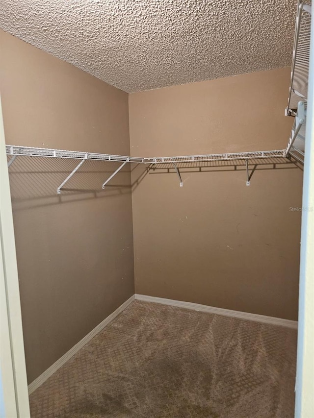 607 Manchester Woods Dr Unit 84, Sun City Center, FL 33573 - walk in closet with carpet