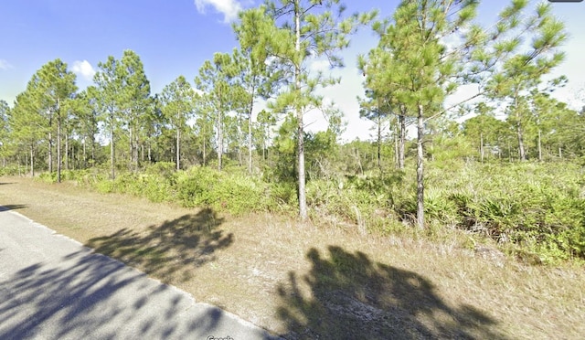 404 Allamanda Dr, Indian Lake Estates, FL 33855 - photo 7