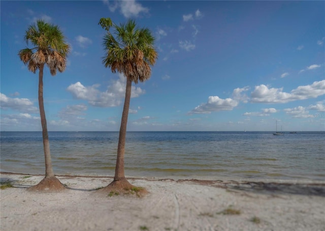 3011 49th Ter S, Saint Petersburg, FL 33712 - photo 6