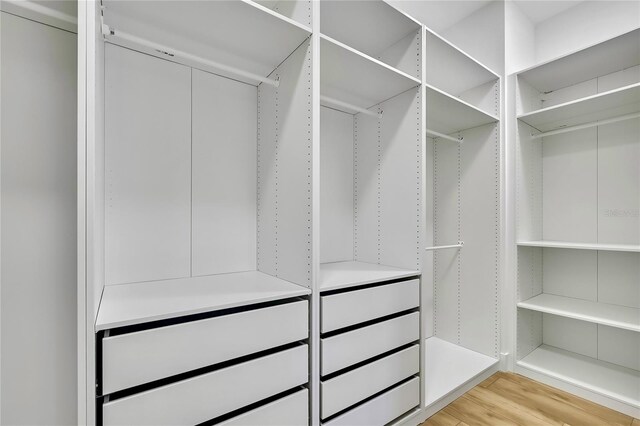 walk in closet with light wood-type flooring