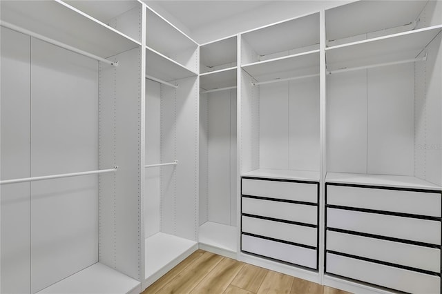 spacious closet with light wood-style floors