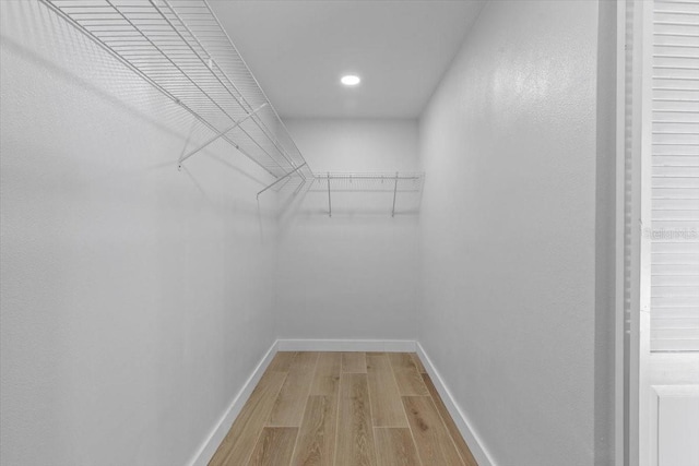 spacious closet featuring light wood-style floors