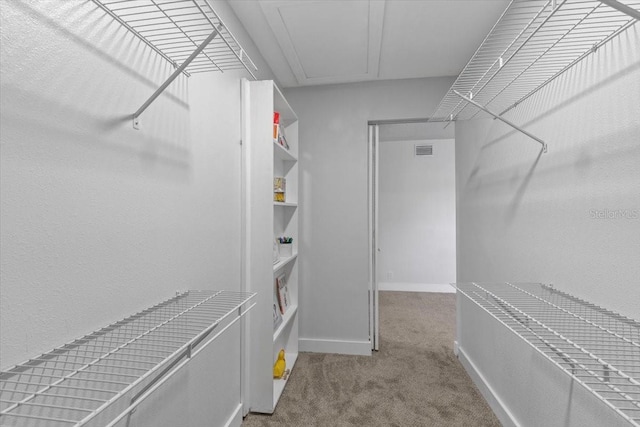 walk in closet with visible vents and carpet