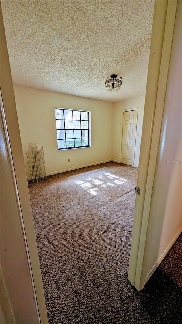 23059 Geneva Rd, Land O Lakes, FL 34639 - photo 22