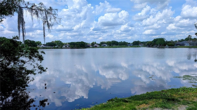 23059 Geneva Rd, Land O Lakes, FL 34639 - photo 40