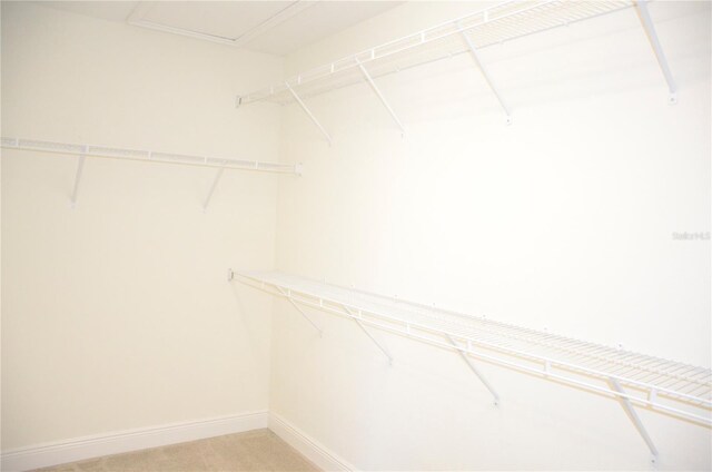 17833 Althea Blue Pl, Lutz, FL 33558 - photo 24