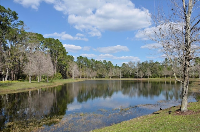17833 Althea Blue Pl, Lutz, FL 33558 - photo 46