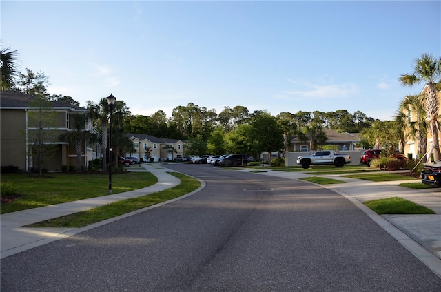 17833 Althea Blue Pl, Lutz, FL 33558 - photo 48