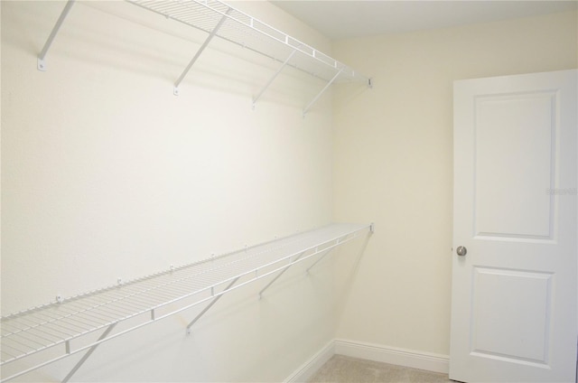 17833 Althea Blue Pl, Lutz, FL 33558 - photo 25